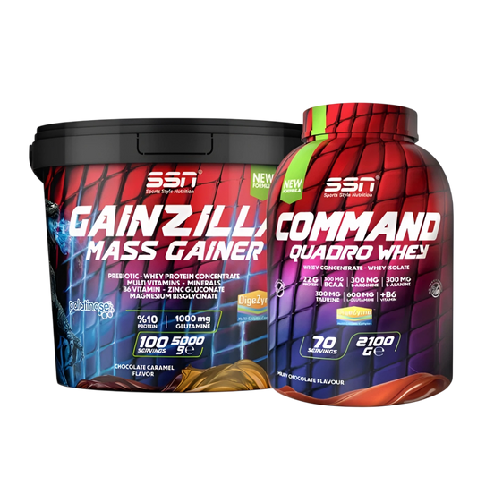 SSN MASS GAINER & WHEY PROTEIN SET