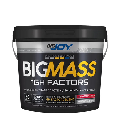 Bigjoy BIGMASS Gainer GH FACTORS 5000 Gr