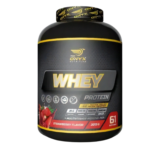 Onyx Nutrition %100 Whey Protein Tozu 2013 Gr